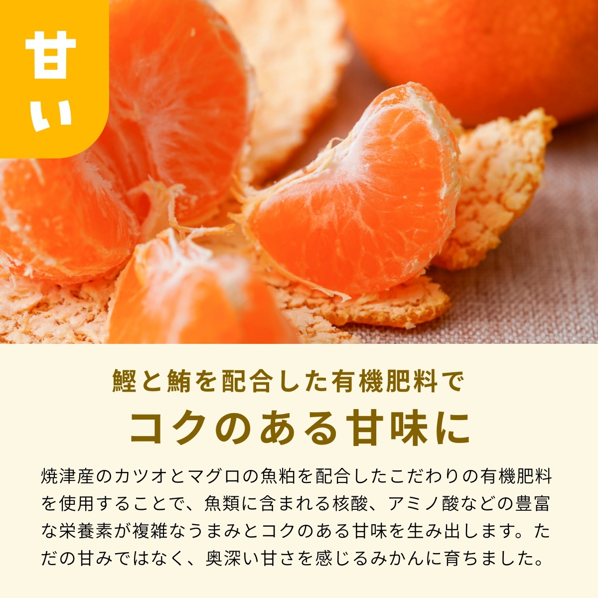 【早生小玉3S～S】 認証農園髙平さんの 三ヶ日みかん 8kg