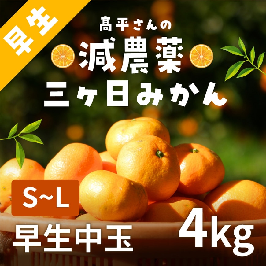 早生中玉S～L】 高平さんの減農薬 三ヶ日みかん 4kg - 浜名湖産直