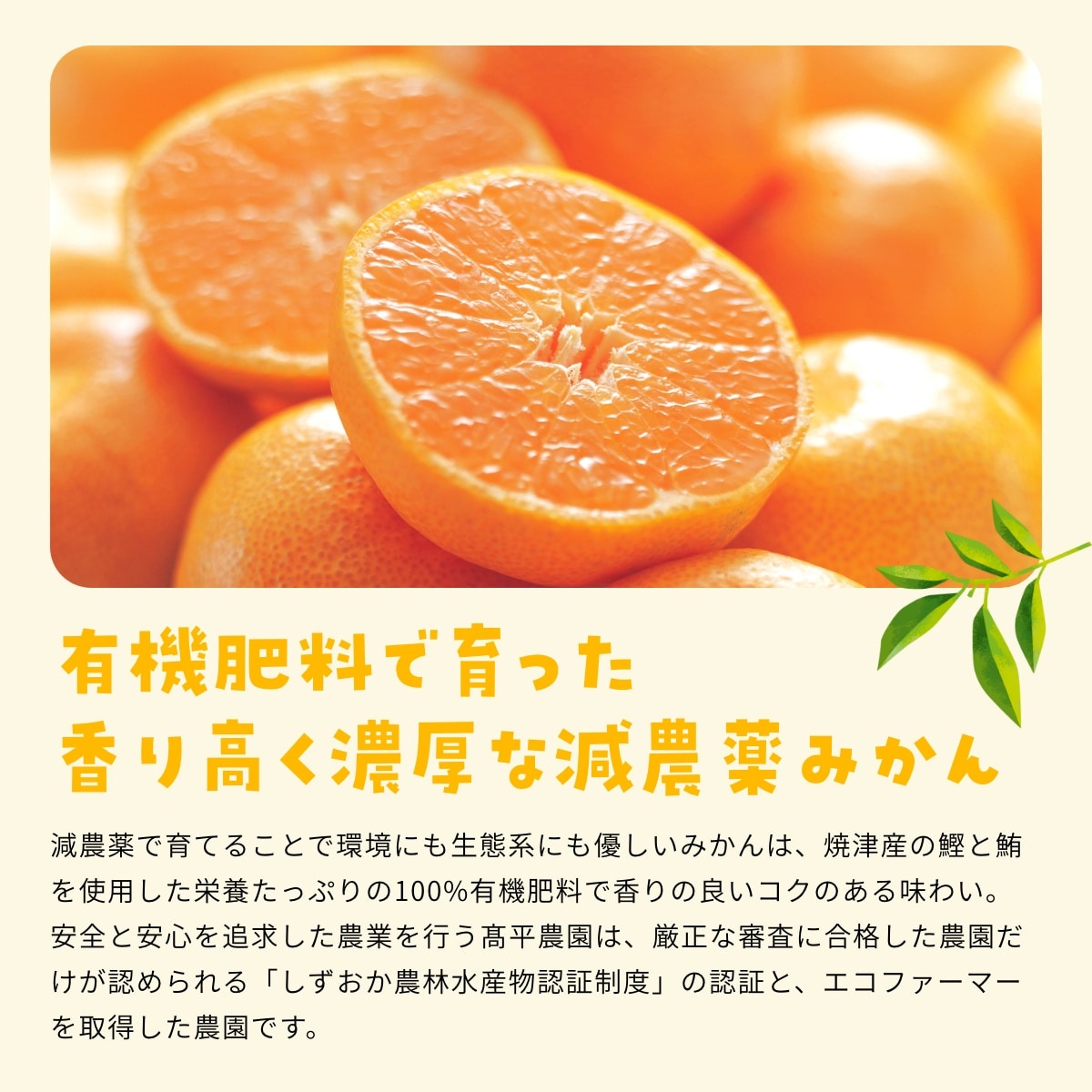 【早生中玉S～L】 高平さんの減農薬 三ヶ日みかん 8kg