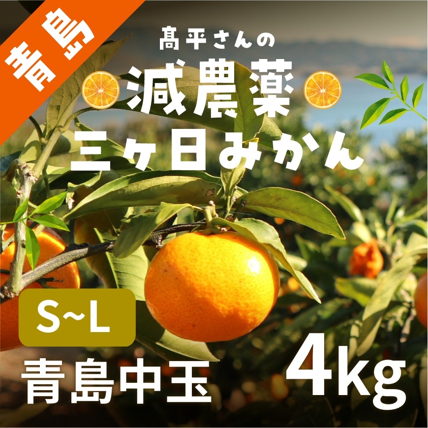 【青島中玉S～L】 高平さんの減農薬 三ヶ日みかん 4kg