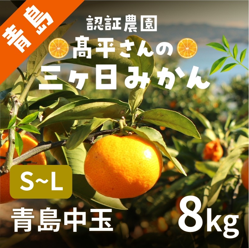 【青島中玉S~L】 認証農園髙平さんの 三ヶ日みかん 8kg