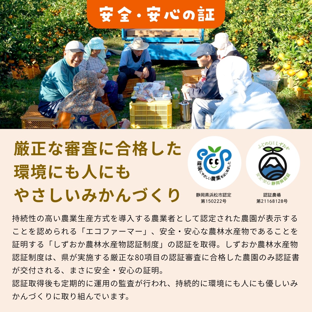 【青島中玉S~L】 認証農園髙平さんの 三ヶ日みかん 8kg