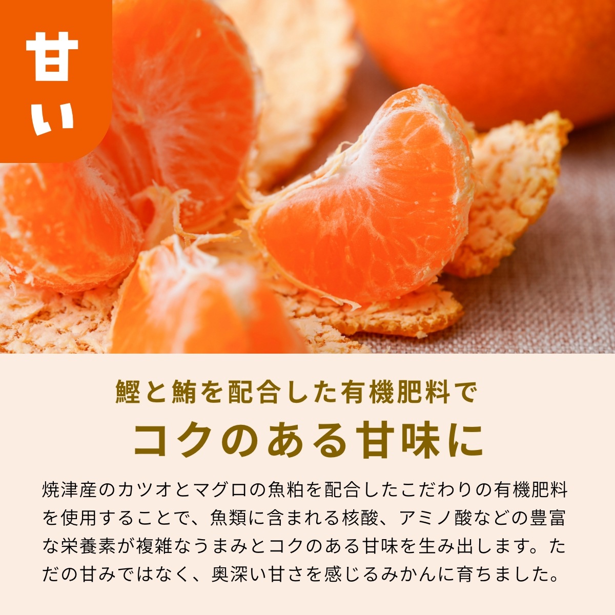 【青島中玉S~L】 認証農園髙平さんの 三ヶ日みかん 8kg