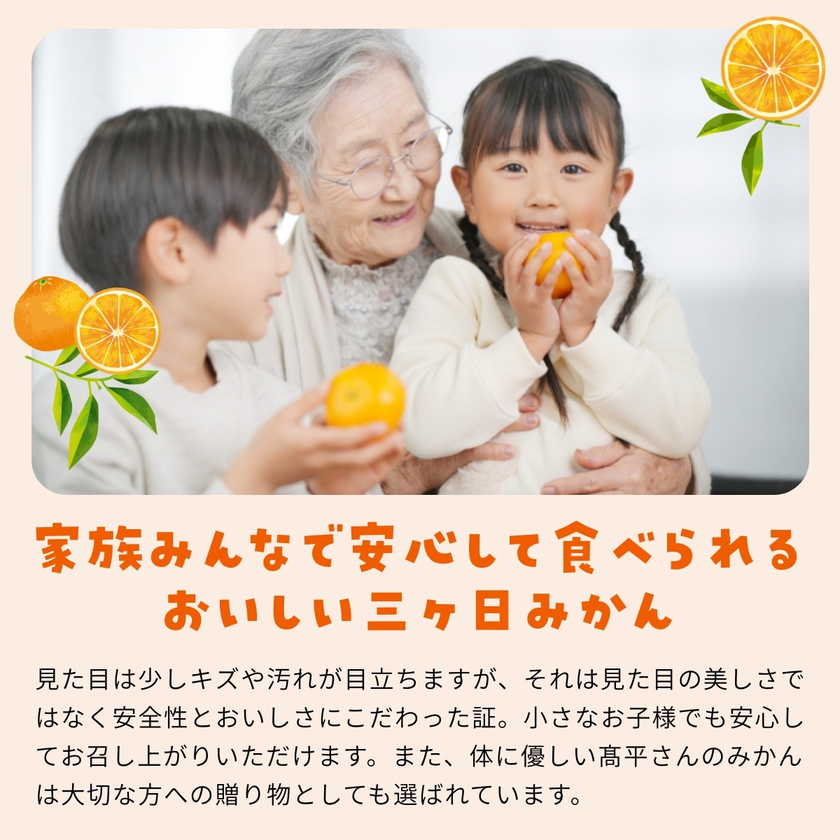 【青島中玉S~L】 認証農園髙平さんの 三ヶ日みかん 8kg