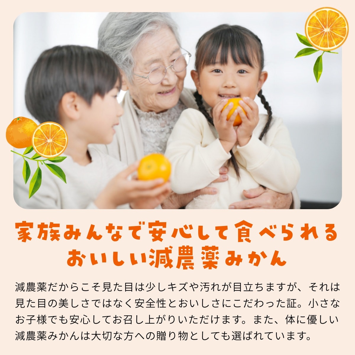 【青島大玉2L～3L】 高平さんの減農薬 三ヶ日みかん 7kg