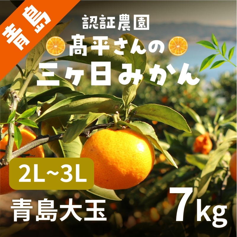 【青島大玉2L～3L】 認証農園 髙平さんの三ヶ日みかん 7kg