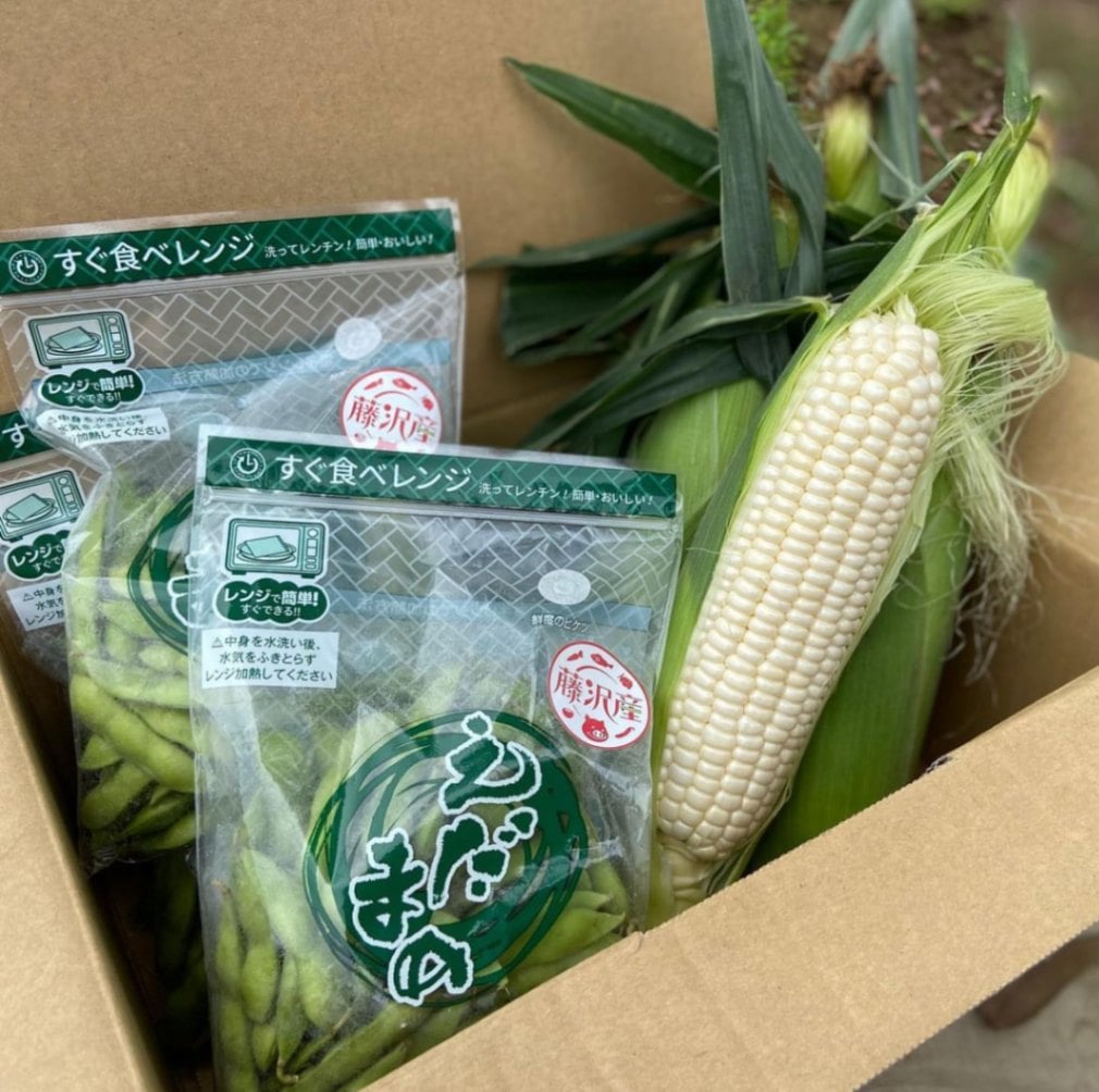 湘南ホワイトコーン（10本）×湘南EDAMAME（5袋）セット