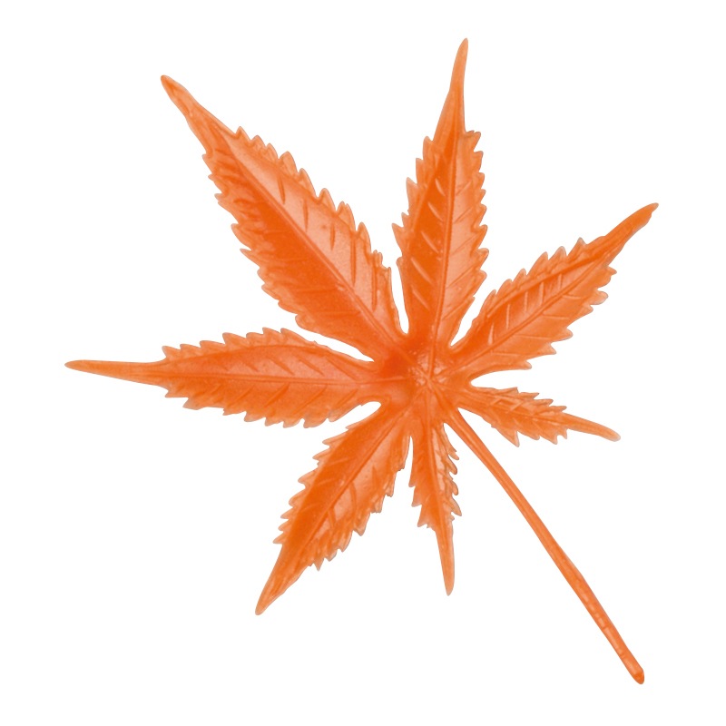 赤黒モミジ モミジ（紅葉）/カエデ：血汐紅葉（チシオモミジ） | nae-ya｜herbal