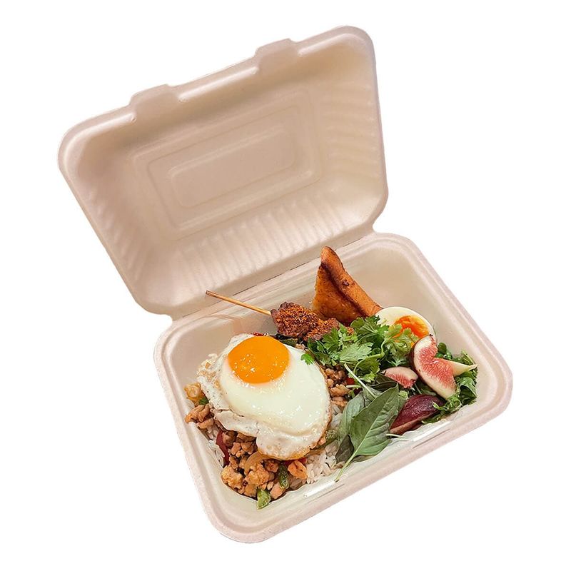 ダイモン エコ容器　ムギ＆タケ フードパック Large AGM-19　50枚入×10袋（500枚）/箱