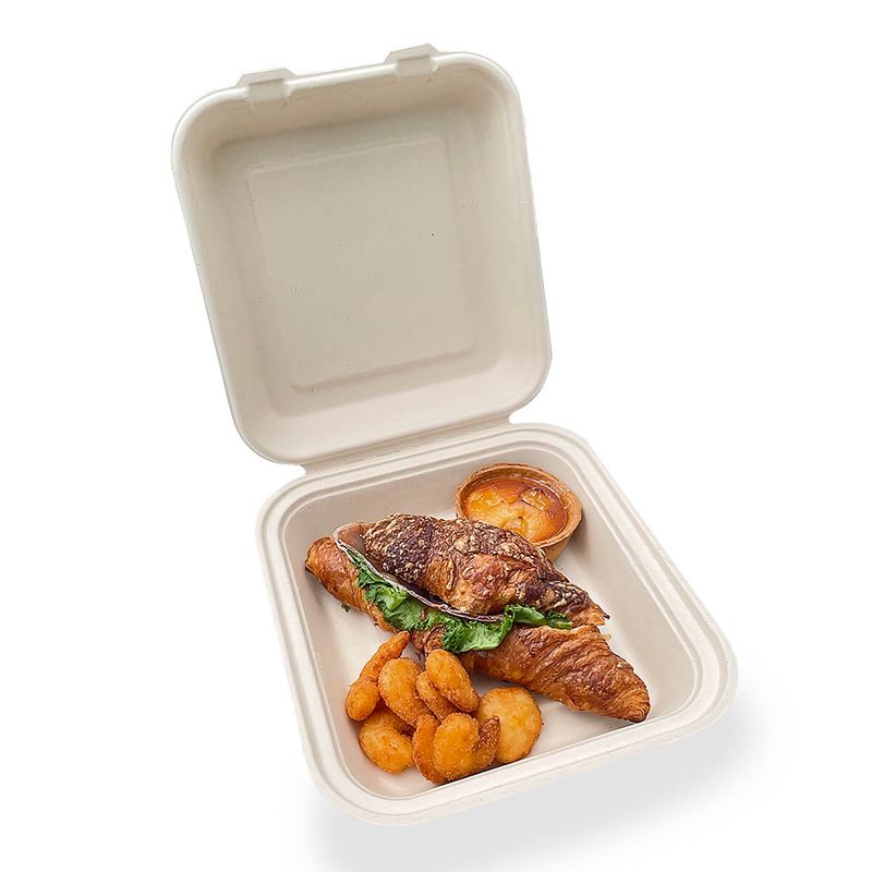 ダイモン エコ容器　ムギ＆タケ フードパック Extra Large AGM-21　50枚入×6袋（300枚）/箱