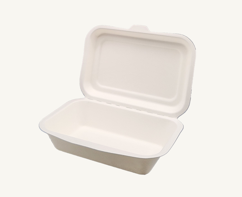 ダイモン エコ容器　サトウキビ フードパック Small AGS-02　50枚入×10袋（500枚）/箱