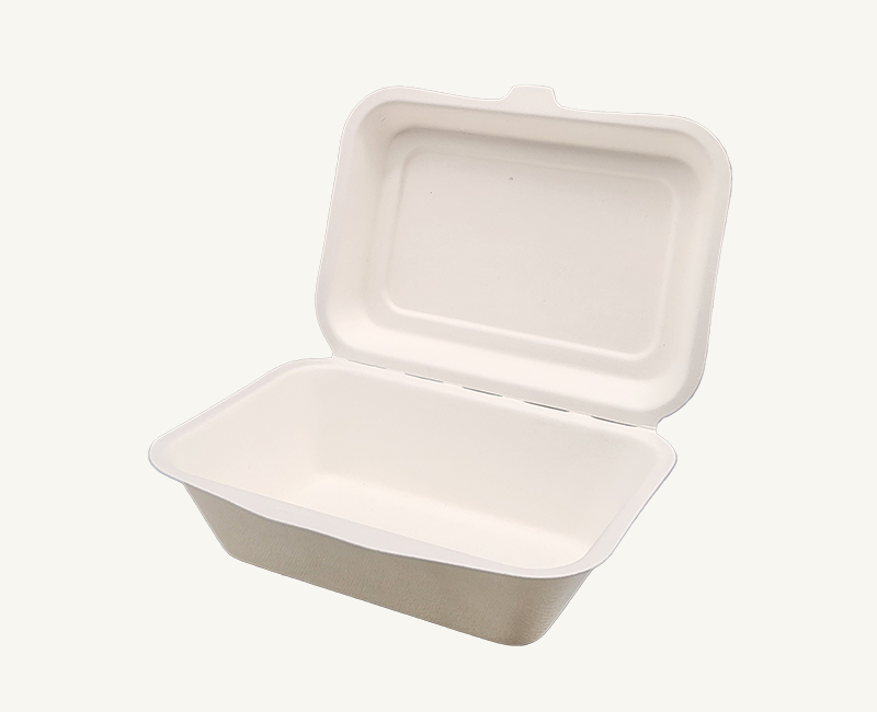 ダイモン エコ容器　サトウキビ フードパック Medium AGS-01　50枚入×10袋（500枚）/箱