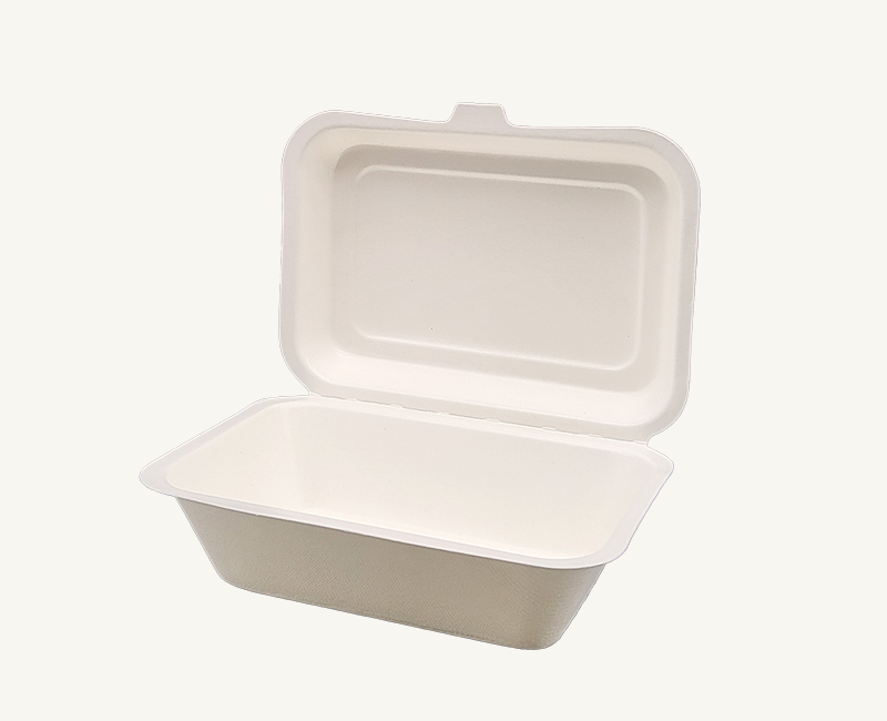 ダイモン エコ容器　サトウキビ フードパック Medium with PLA AGS-05　50枚入×10袋（500枚）/箱