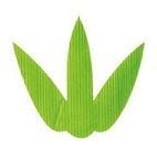 “国産” バラン 三枚笹 小 C色　1000枚入/箱