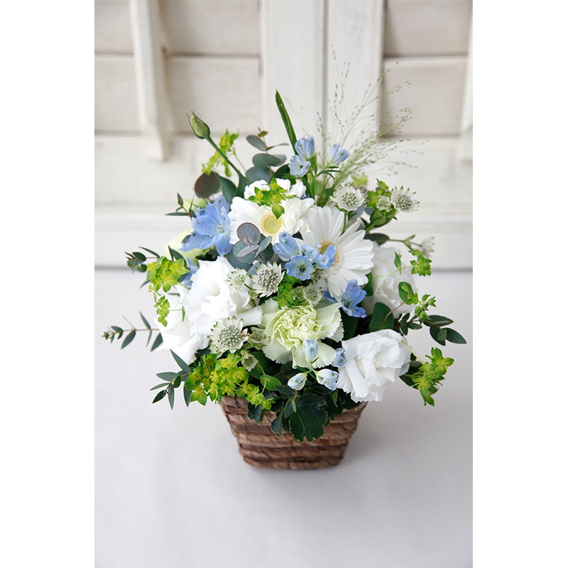 �Х����åȥ���󥸡��������β֡����ꥸ�ʥ륫�顼��S��������