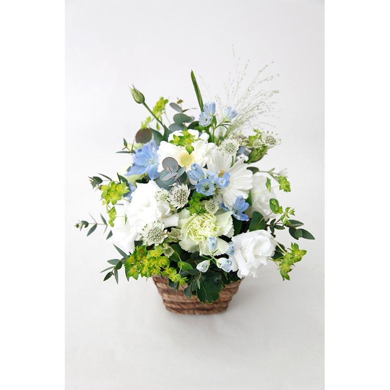 �Х����åȥ���󥸡��������β֡����ꥸ�ʥ륫�顼��S��������