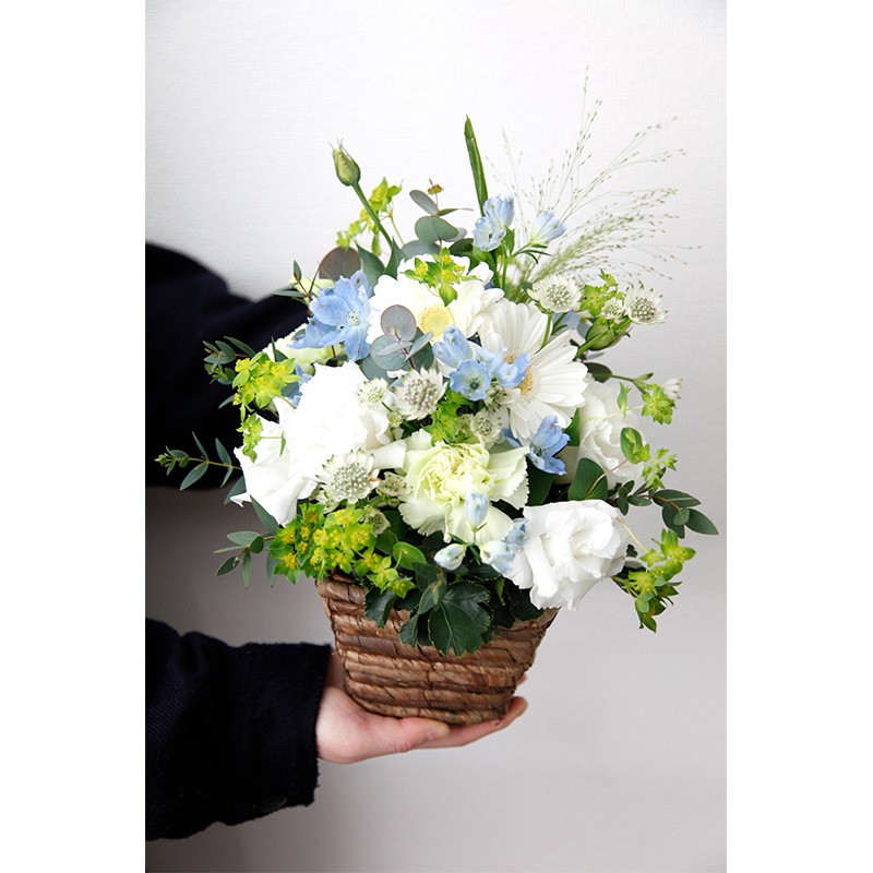 �Х����åȥ���󥸡��������β֡����ꥸ�ʥ륫�顼��S��������