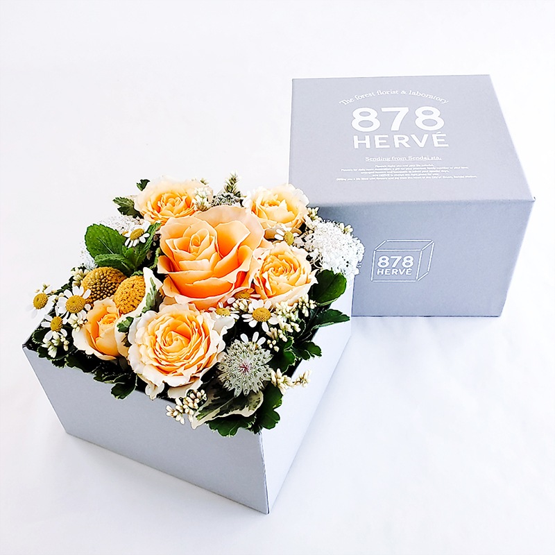 BOX󥸡M