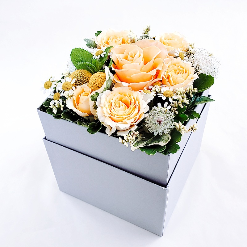 BOX󥸡M