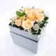 BOX󥸡M