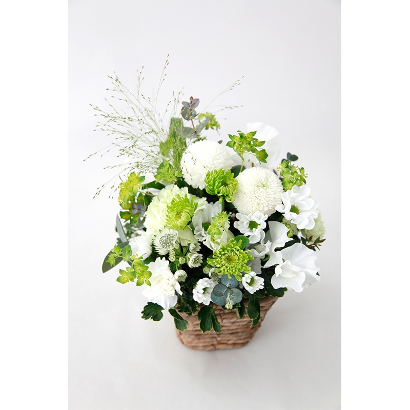 �Х����åȥ���󥸡��������²֡��ۥ磻�ȥ��꡼���S��������