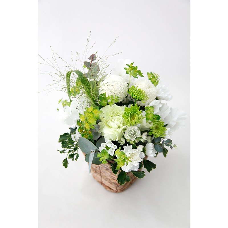 �Х����åȥ���󥸡��������²֡��ۥ磻�ȥ��꡼���S��������