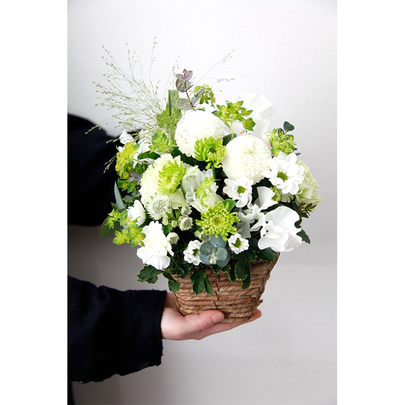 �Х����åȥ���󥸡��������²֡��ۥ磻�ȥ��꡼���S��������