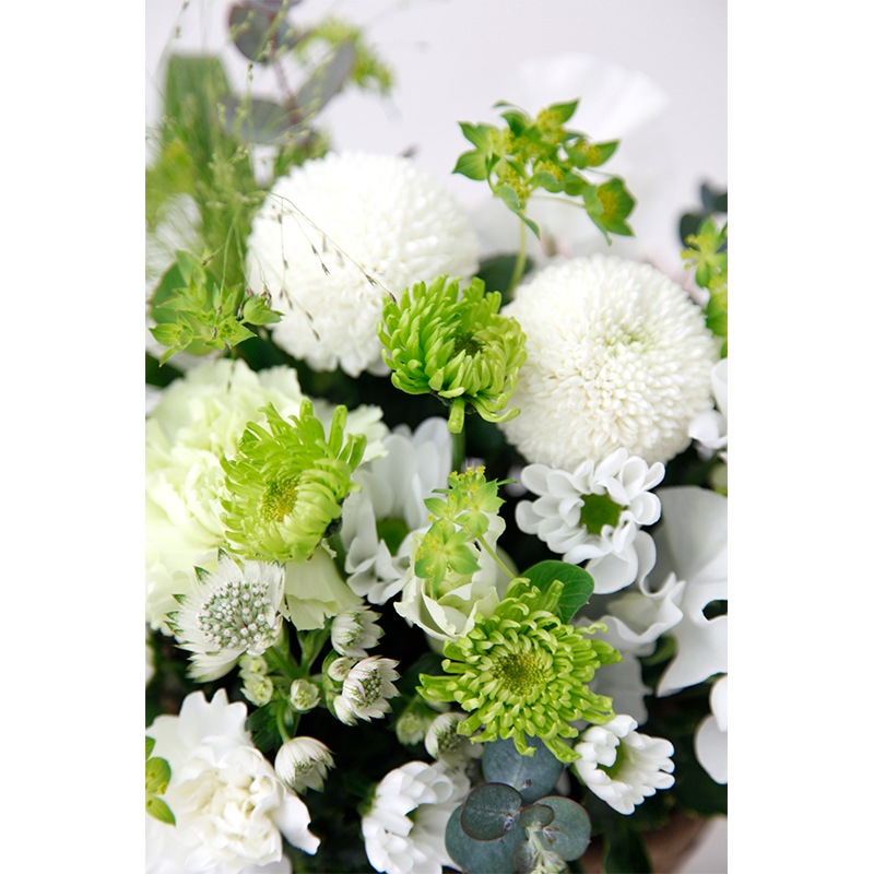 �Х����åȥ���󥸡��������²֡��ۥ磻�ȥ��꡼���S��������