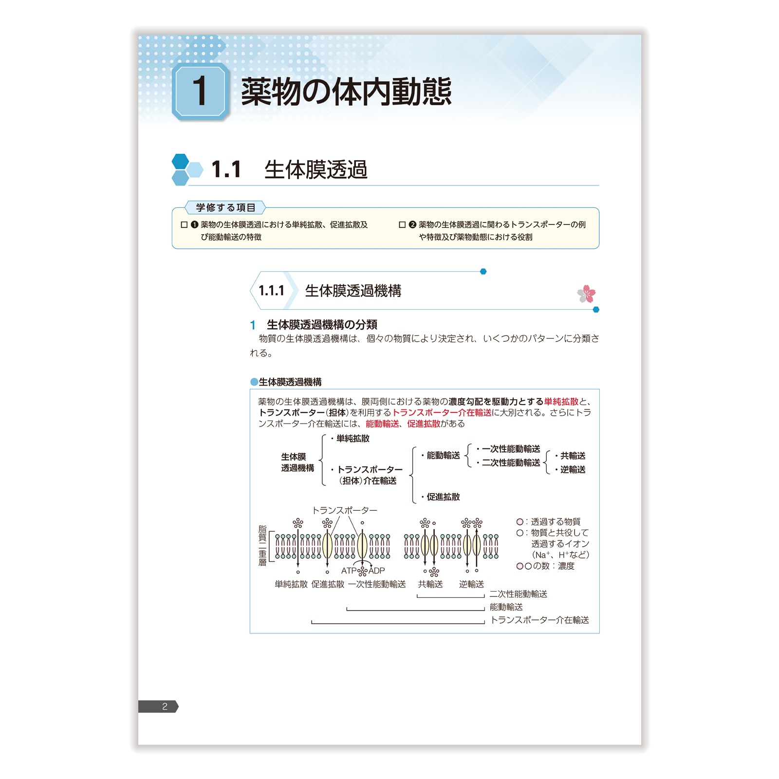 薬剤師国家試験 第111回対策参考書 青問 薬剤師国家試験対策参考書 第111回対策 青本 Amazon.co.jp