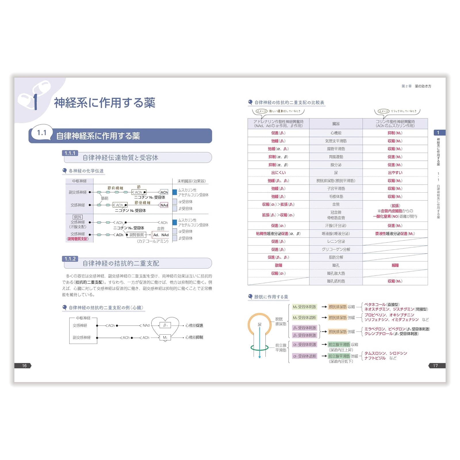 薬ゼミの要点集 薬理　実務　薬剤　生物　法規 5133RIjkV0L._AC_SY200_QL15_.jpg