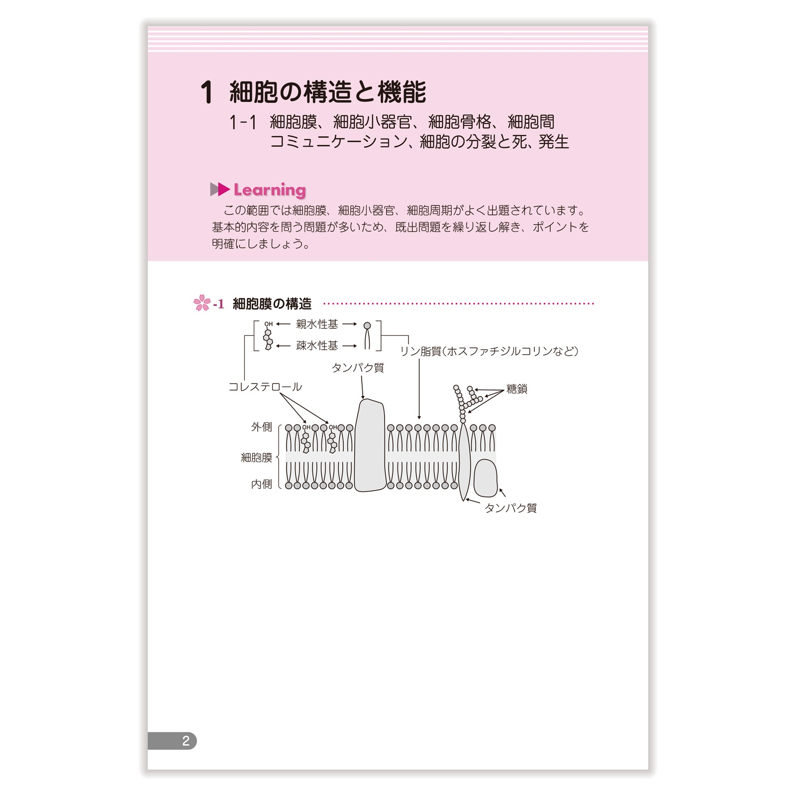 【裁断済】領域別既出問題集　改訂第13版 領域別既出問題集〔改訂第13版〕 ③生物 | 国家試験対策 | 薬