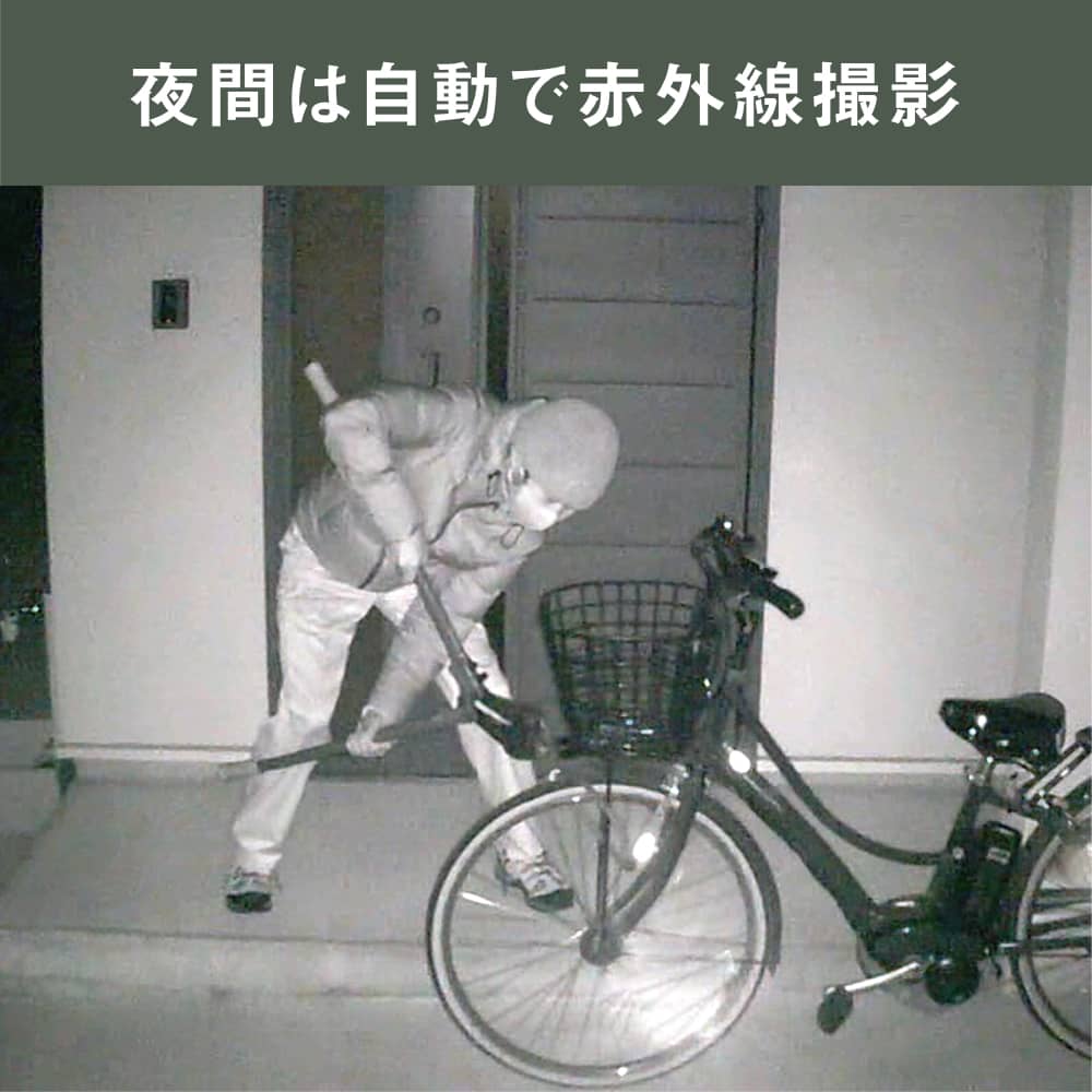乾電池式どこでもセンサーカメラ ムサシ(MUSASHI)｜配線不要！どこでも