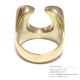 全面ジルコニア 埋込みホースシュー（馬蹄型） ゴールドブラス（真鍮） リング 【GOLD BRASS /指輪】