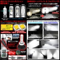 最新版/ダイハツ/スズキ/日産【H9】X3 PHILIPS 12000ルーメンLEDヘッドライト&フォグランプ50W/6500K車検対応/フイルム付2個/1年保証