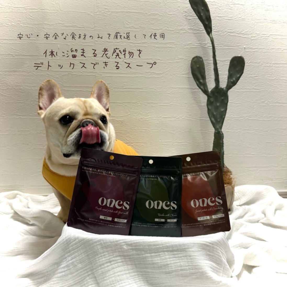 水分補給デトックススープ セット