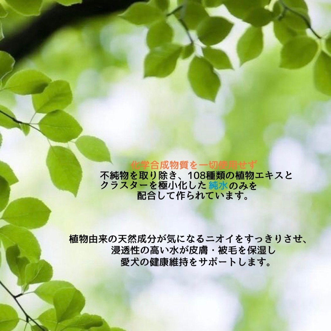 オールインワンスプレー/付け替えボトル【WAFONA】