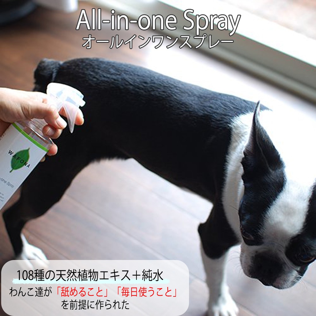 オールインワンスプレー/付け替えボトル【WAFONA】