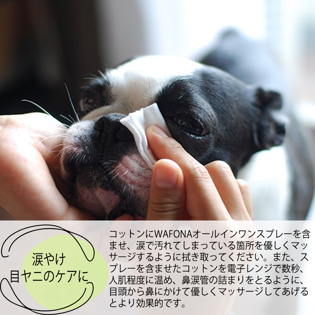 オールインワンスプレー/付け替えボトル【WAFONA】