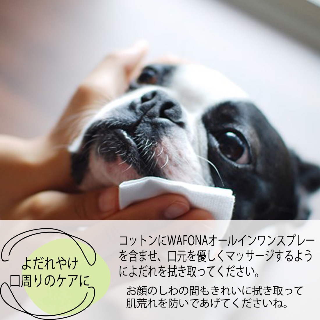 オールインワンスプレー/付け替えボトル【WAFONA】