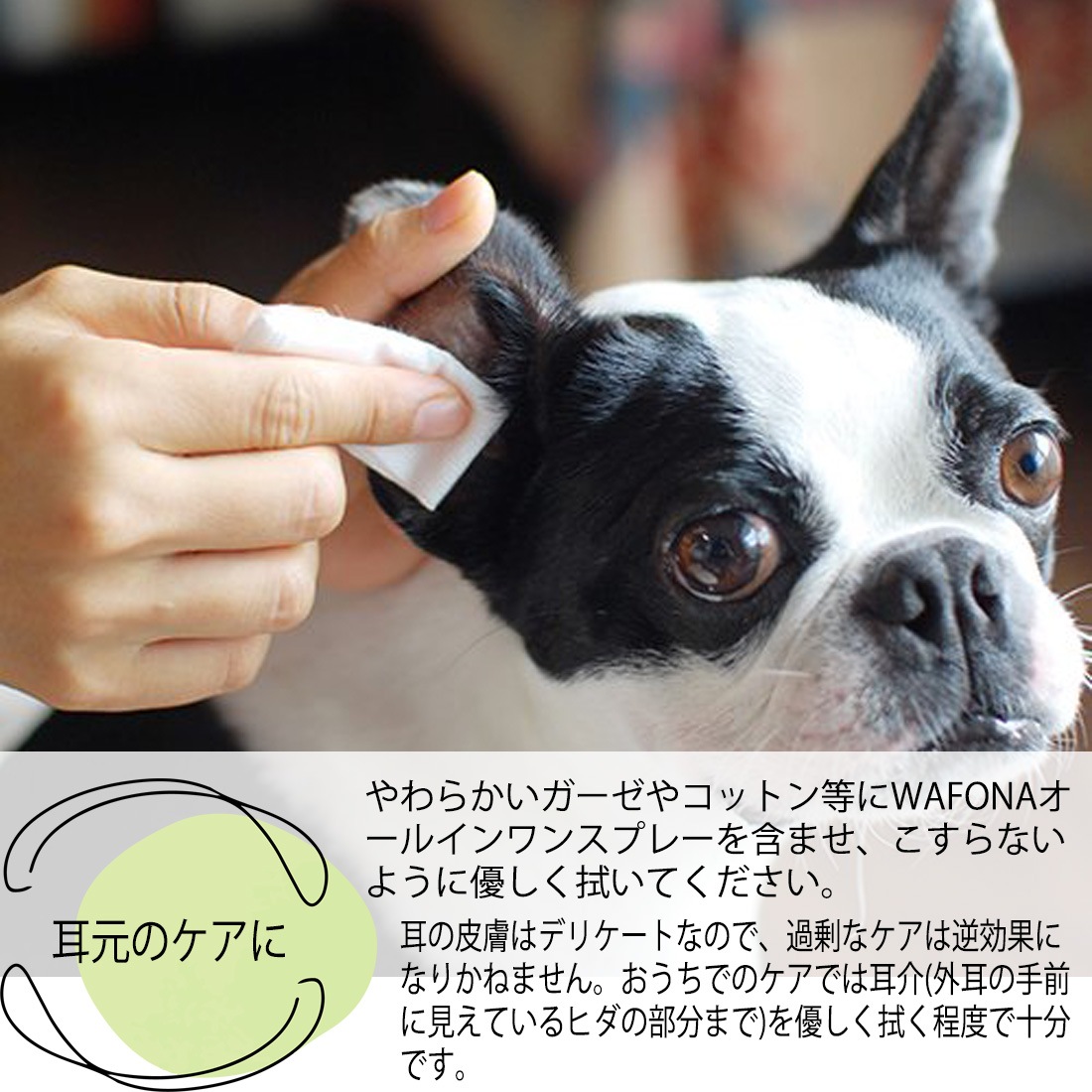 オールインワンスプレー/付け替えボトル【WAFONA】