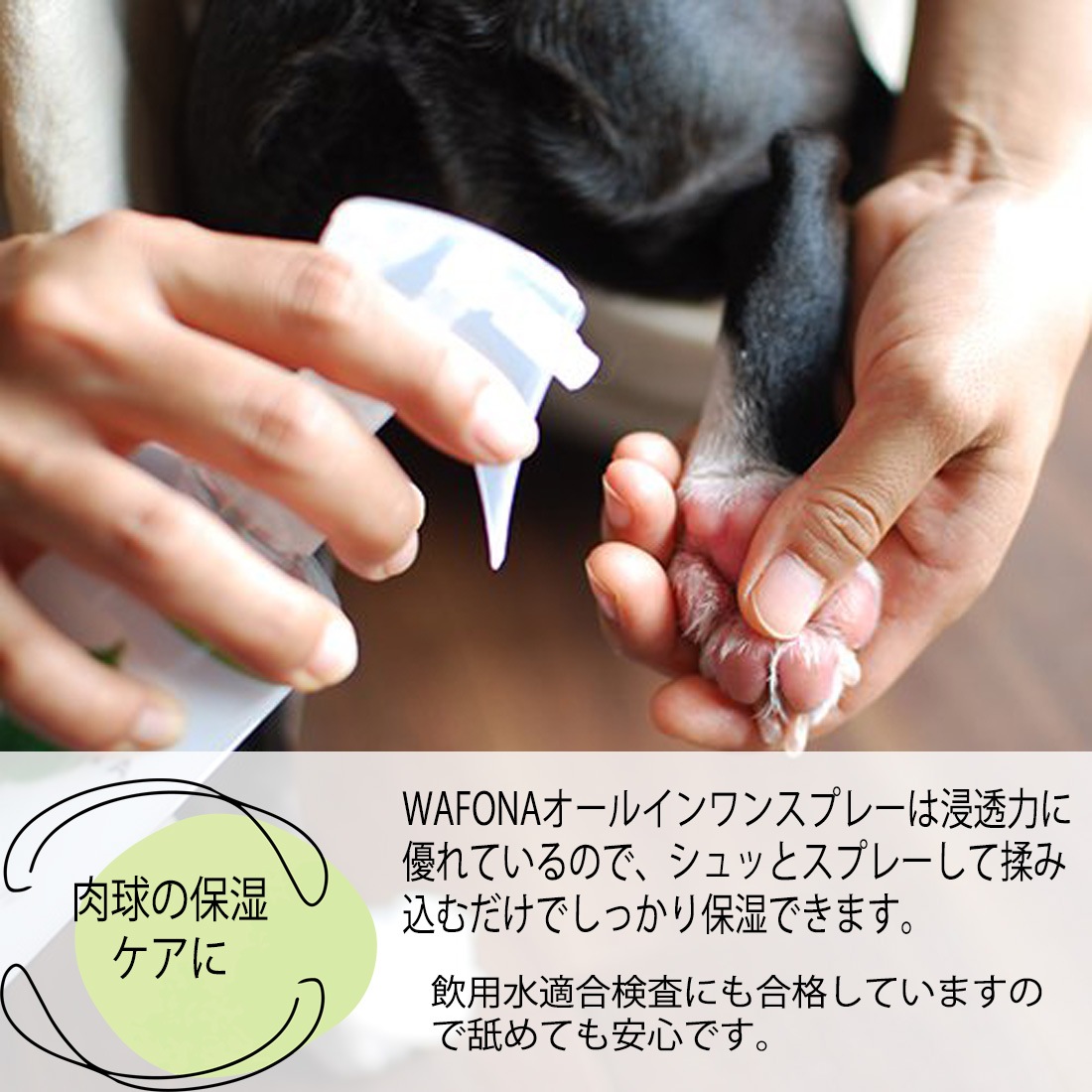 オールインワンスプレー/付け替えボトル【WAFONA】