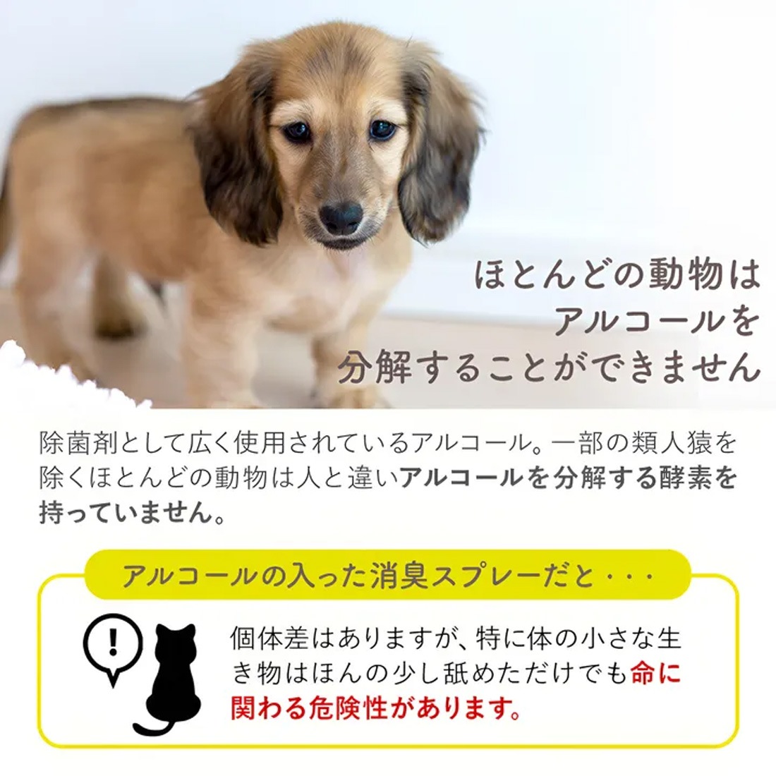 ペット用 消臭・除菌・抗菌スプレー/パウチ【ゼロマル】