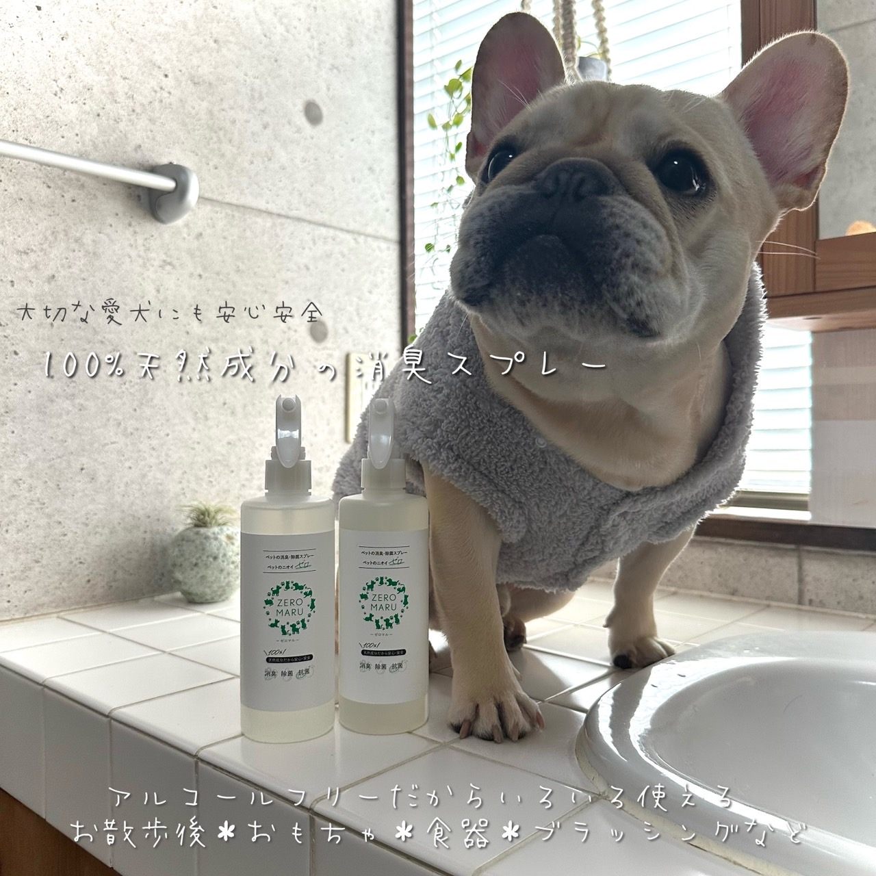 ペット用 消臭・除菌・抗菌スプレー/パウチ【ゼロマル】