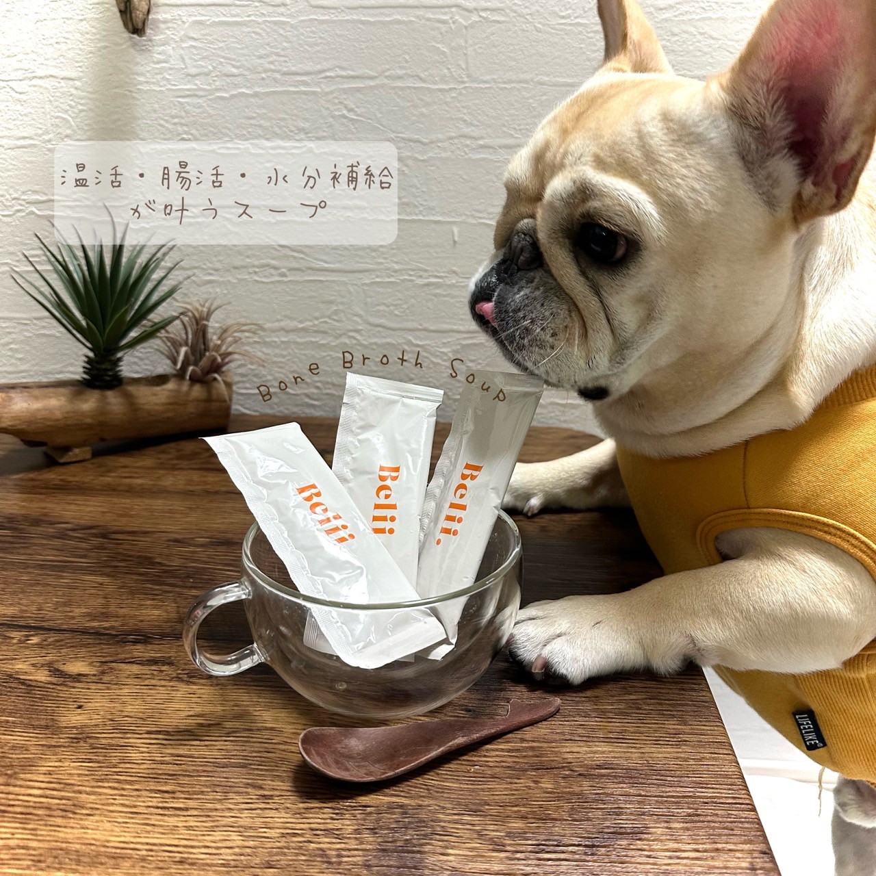 ボーンブロススープ