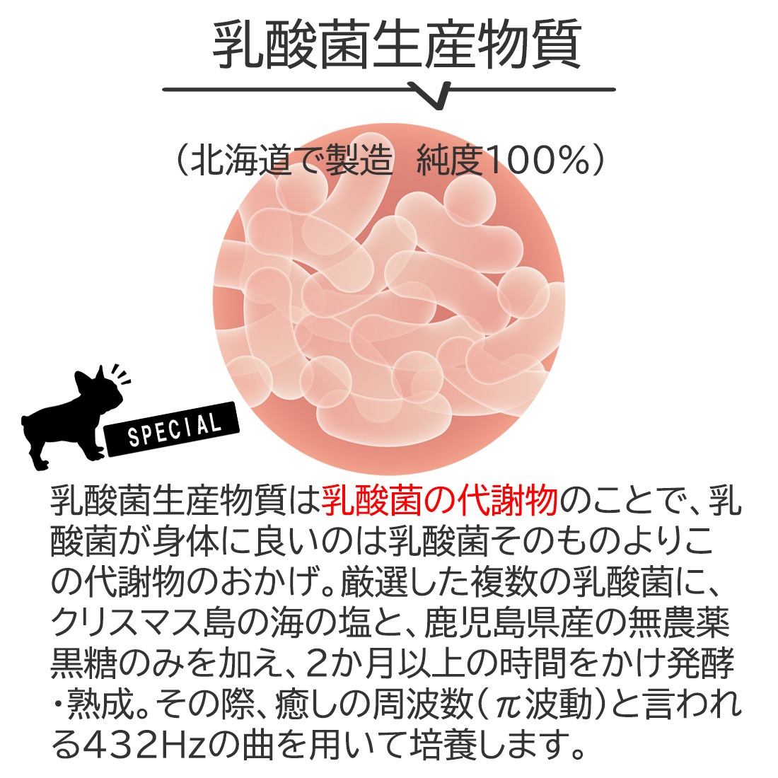 ボーンブロススープ