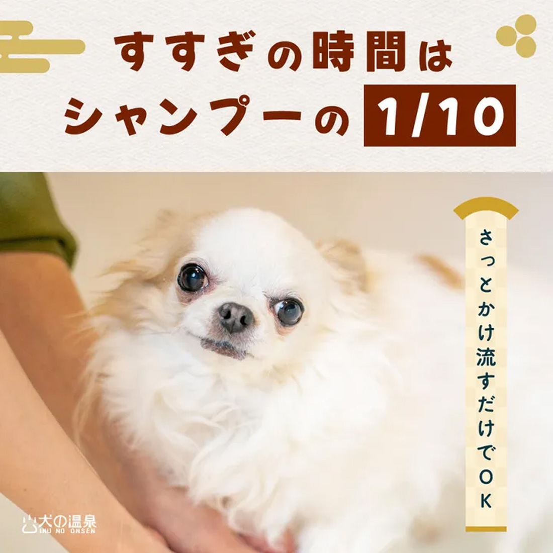 温泉ミネラル配合 犬用入浴料