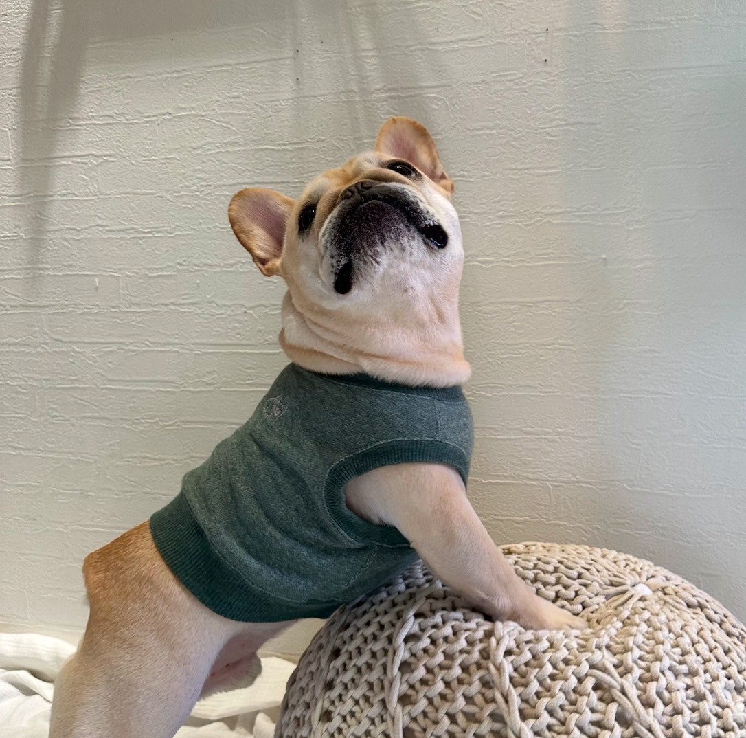 明日は一緒にどこ行く?クロップドスウェット【メランジ・モスグリーン】