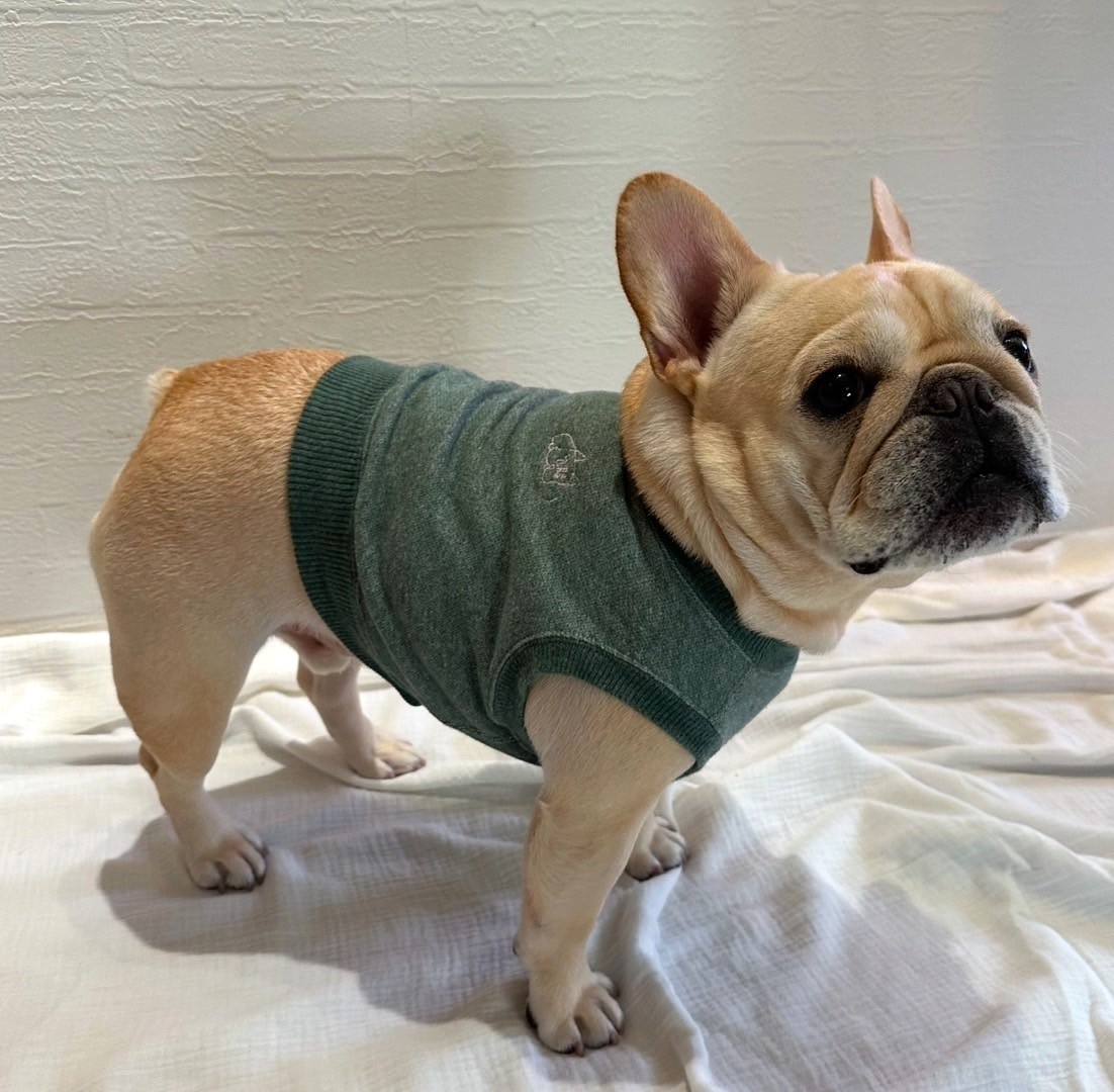 明日は一緒にどこ行く?クロップドスウェット【メランジ・モスグリーン】