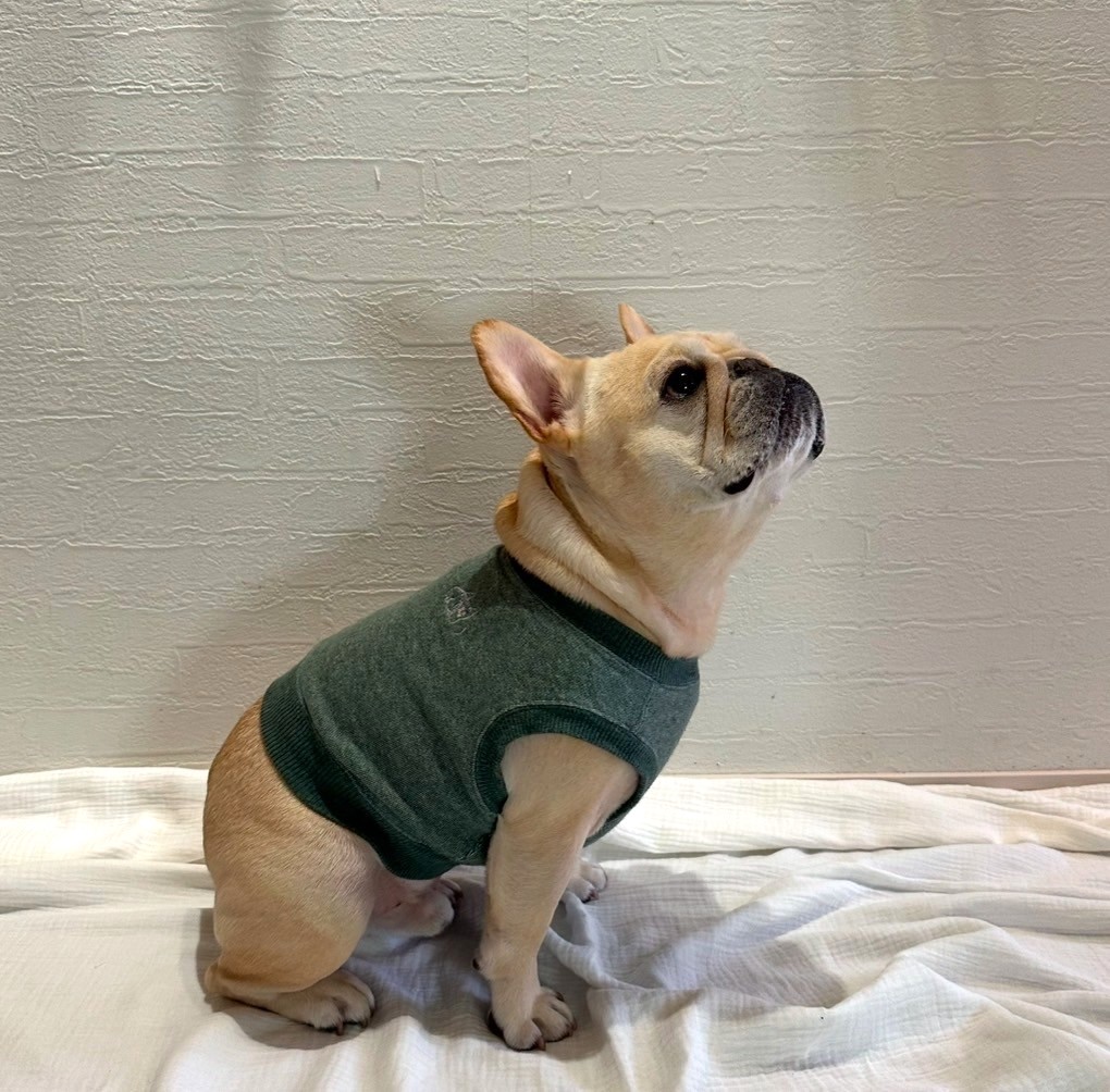 明日は一緒にどこ行く?クロップドスウェット【メランジ・モスグリーン】