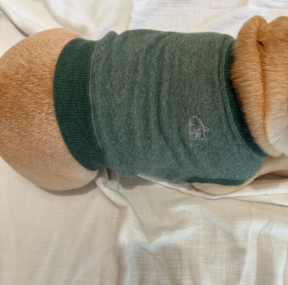 明日は一緒にどこ行く?クロップドスウェット【メランジ・モスグリーン】